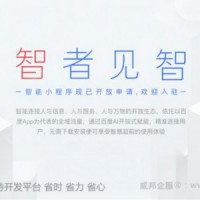 中国网站设计行业领导品牌